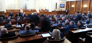 Нинова: БСП внесе искане за извънредно заседание на парламента