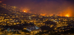 Пожари взеха три жертви на остров Мадейра (ВИДЕО+СНИМКИ)