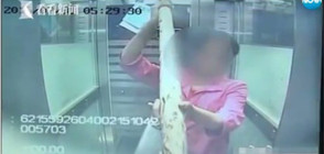 Защо жена строши 22 банкомата? (СНИМКИ)