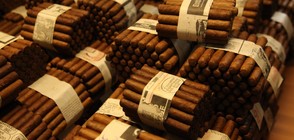 Истории за пурите и Куба в „Без багаж”