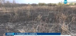 Пожар вилня в Ямболско (ВИДЕО)
