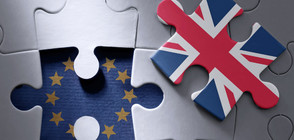 Великобритания закъснява с подготовката за излизането си от ЕС