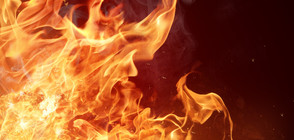 16 ранени при пожар в бежански център в Германия (ВИДЕО)