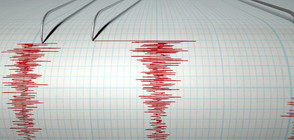 Девет са жертвите от земетресението в Перу