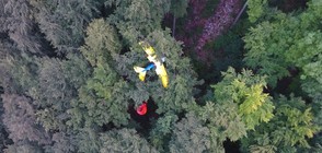 Пилот кацна върху дърво, където прекара 13 часа