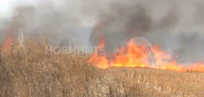 500 декара пламнаха недалеч от Ямбол (ВИДЕО)
