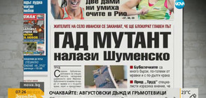 В печата: Странни буболечки тормозят хората в Шуменско