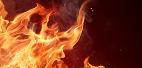 Пожар в Харманлийско, обявено е бедствено положение