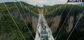 Погледнете надолу от най-дългия стъклен мост в света (ВИДЕО+СНИМКИ)