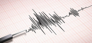 Земетресение от 6,1 по Рихтер в Индонезия