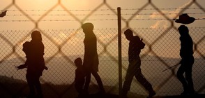 Сърбин застреля мигрант до границата с България