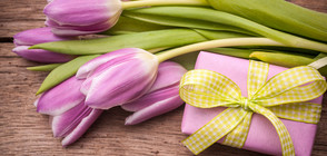 Кой има имен ден днес?