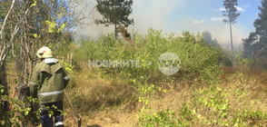 1000 дка гори изгоряха край старозагорско село (ВИДЕО+СНИМКИ)