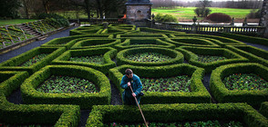 Най-красивите лабиринти в света (СНИМКИ)