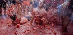 22 000 души в бой с домати (ВИДЕО+СНИМКИ)