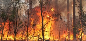 Огромен пожар гори край Харманли, кмет обгоря тежко