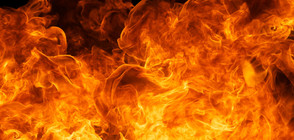 Пожарът в Харманлийско засегна 7 000 дка площ