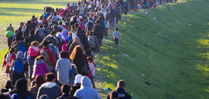 Член на ВМРО: Трябва да върнем икономическите мигранти на турската граница