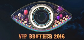 VIP Brother е най-популярното риалити според национална анкета