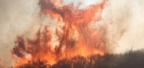 ПОЖАР КРАЙ КАЗАНЛЪК: Пламъците стигнаха до вилите на хората (ВИДЕО+СНИМКИ)