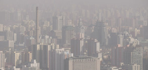 Частици от замърсяването на околната среда достигат до мозъка