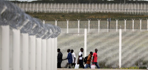 Над 13 000 мигранти са влезли в България тази година