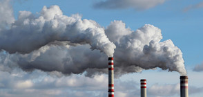Световната банка: Замърсяването на въздуха струва трилиони долари
