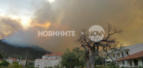 Пожар обхвана о. Тасос в Гърция, няма данни за пострадали българи (ВИДЕО+СНИМКИ)