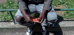 Задържаха 60 бежанци в района на бул. „Президент Линкълн”