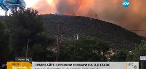 УКРОТЕНА СТИХИЯ: Потушиха пожарите на Тасос