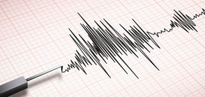Земетресение от 4,8 по Рихтер разлюля Западна Турция