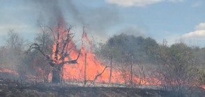Два пожара лумнаха в Старозагорско (ВИДЕО+СНИМКИ)