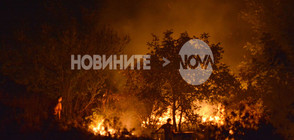 ПОЖАР В ЛОВЕШКО: Пламъците достигнаха до къщите на село Славяни (ВИДЕО+СНИМКИ)