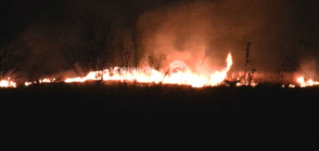 Огромен пожар край врачански села (ВИДЕО+СНИМКИ)