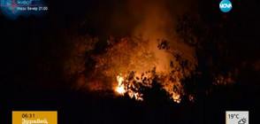 Пожар лумна на метри от къщи в ловешко село (ВИДЕО)