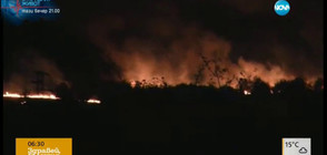 Огнена стихия изпепели десетки декари край Враца (ВИДЕО)