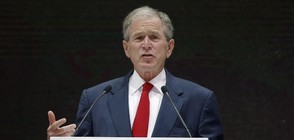 Джордж Буш издава книга с картини