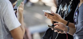 Да играеш "Pokemon Go" и да откриеш плантация с канабис