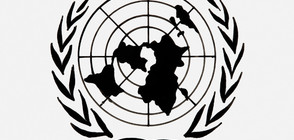 Секс робиня на ИДИЛ стана посланик на добра воля на ООН