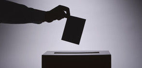 Австрия ще остане без президент до 2017 г.