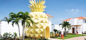 Първата вила ананас посреща посетители (ВИДЕО+СНИМКИ)