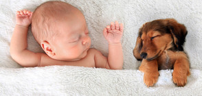 Бебетата, които разтапят сърцето (ГАЛЕРИЯ)