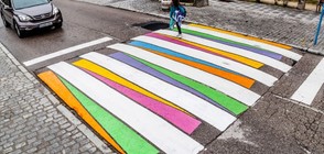 Българин превръща „зебрите” в Испания в произведения на изкуството (ГАЛЕРИЯ)