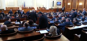 Депутатите решават дали да дадат пари на НЕК за АЕЦ "Белене"