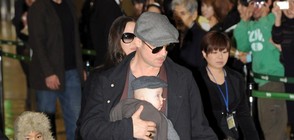 Брад Пит ще се бори за попечителство над децата си