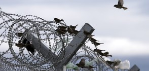 Орбан: Нелегалните мигранти трябва да са в лагери извън ЕС