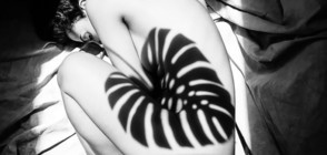 15 фотографи, които знаят как да използват сенките (ГАЛЕРИЯ)