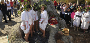 Пресъздадоха древния тракийски ритуал по мачкане на грозде (ВИДЕО)