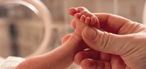 БАБИНДЕН Е: Денят на родилната помощ, акушерките и гинеколозите