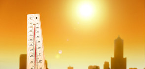 Земята е най-топла от 120 000 години